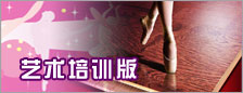 艺术培训版