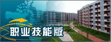 职业技能版